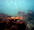 Paradice Cove, Western Samoa