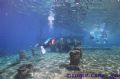 The Million Hope wreck. Dive starts at -2m and goes down... Canon eos 1n + 16-35mm