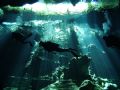 From the Chacmol Cenote (Cave). Dome port used.