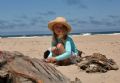 'Where are all the turtles gone'?
This was taken on a barrier island near Lopez Mateos where several turtles wash up daily as a result of bycatch.