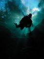 Nikon Coolpix 5000, Ikelight housing, natural light. My husband entering Devil's Eye, Ginnie Springs Florida.