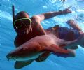 Earl swimming with a nurse shark