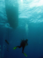 Deep Water Descent: Next to the security stop station, a divemaster makes his way down to a 120ft drop.