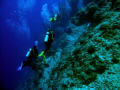 Some of our group on Santa Rosa Wall - Cozumel - Nikon 5400 plus DS125 strobe.