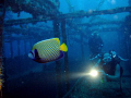 Alma Jane, Sabang Bay, Philippines