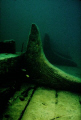 Whitefish Point Shipwreck Preserve
Hanging Knees