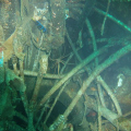 USS Oriskany, looking down in the cables of what use to be the radar.