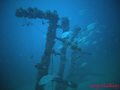 BRASS WRECK, Pensacola, Fl. Diving with MBT Divers