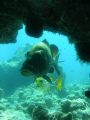 Sweet lips: photo taken @  kuredu Express dive site