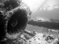 red sea wreck