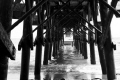 pier off of Catalina Island, CA