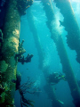 Salt Pier, Bonaire, N.A.