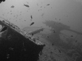 Guns on stern of thistlegorm.