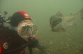 A trout posing for this shot Capernwray 2007