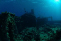 Red Sea Wreck