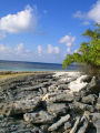 isola maldiviana 