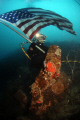 US NAVY DIVER WAVES AMERICAN FLAG OVER A WORLD WAR 2 AERIAL CRASH SITE DURING AN UNDERWATER RECOVERY MISSION TO LOCATE MISSING VETERANS THROUGHOUT MICRONESIA.