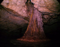 Cenotes of the Yukatan. In an airspace the roots of this tree appear to go through the water , But they dont. Shot with a sealife 600 with strobe.