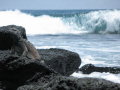 Marine Iguana in the Galapagos Islands
Canon G7