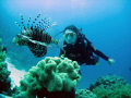 Stare Down between Angie and a Huge Lion Fish..... EEL Gardens Dahab...............