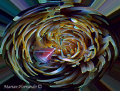 Pink anemone in whirl pool.  Inspired by strong current encountered during my dive in Mainit dive ste, Anilao, Batangas.