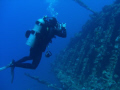Diver on wreck of Carnatic