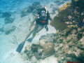 her first dive after her certification she really enjoy the view  at Paradise reef and the feeling of moving so easy in every direction she likes.