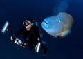 Me and my buddy. This was taken at Fish Head in the Maldives. One of my buddies was totally unaware that he was being followed by the napoleon wrasse. 