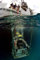 US Navy Divers going to the office.