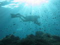 Diver filming, taken early evening with Canon G9