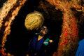 Goliath Grouper and Female Diver, ¿ Who goes out first ?