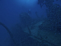 This sunken ship from WWII provides a safe haven for thousands of fish.  The 125 ft. depth makes it a short but beautiful dive into the deep blue