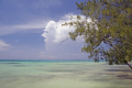 Pastel paradise.  One of the things I love about diving is that it tends to occur in places where it is nice to be when you are not diving. Case in point, this is the view to the east from Rum Point, Grand Cayman.