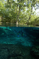 Scuba training @ Ginnie Springs
Freshwater diving in the Florida springs.