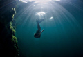 This is a shot of a Mermaid I took in Lake Rawlings where we do our open water scuba training.  I had just finished a class and decided to take a look around the lake to see what I could find...