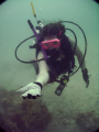 Spiders underwater.  Gulf of Mexico near Tampa Fl area (Tarpon Springs).  Shot this picture of my wife, modeling the arrow crab on her arm.  May 2008