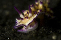 trying to get a portrate of a nudi, small depth of feild focusing just on the head.