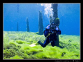 This is a photo of my Dive Buddy Russel.  It was taken at Clear Lake in Oregon.