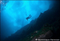 100 foot depth under the ice.

Diver diving under the ice during a sunny day. Beautiful view of the frozen surface from 100 foot depth.