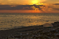 Portuguese Man-of-War found on Jupiter Beach Florida at sunrise.  Photo taken with Canon 20D