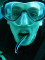 The Dentist (Cleaner wrasse) playing with a diver.