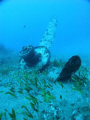 Airplane wreck kreta greece