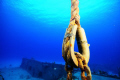 This shot was taken during my first ever underwater photo shoot.  The foreground subject is the hardware and rope of a wreck mooring off shore of tSunset House, Grand Cayman.  It was shot with a Nikon d-300 using my new Subal system.