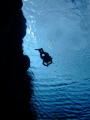 this photo are taken in Silfra /Thingvellir in Iceland.  the camera is Fuji F30 bellonging to my brother Svanur who is the diver on the photo.  The water is 3 degree celsius and I was at approx 12 meters deep when I took the photo.