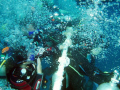 Many bubbles on the mooring line coming up from the ElMiniya wreck, Hurghada Bay as everyone attempts safety stop at 'exactly' 5 Mts.