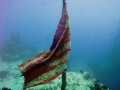 US flag aft section of Speigel Grove off Key Largo, Florida.