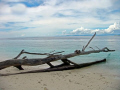 This shot was taken on an island at Raja Ampat while we dropped for surface time...