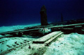 ALONE
This was taken in Nassau Bahamas, at 45 ft. The Vis was great, the water temp was 88 Deg. This wreck was used in the movie 