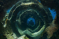 Diver on the wreck of the Arimoroa near Egg Island in the Bahamas