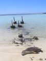 Another day in paradise, Abrolhos Islands ;)